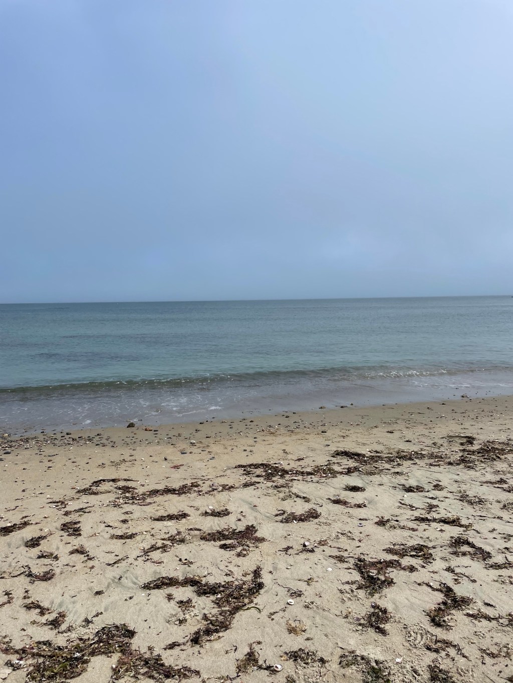 Sometimes I Wish I Lived in a&nbsp;Commercial