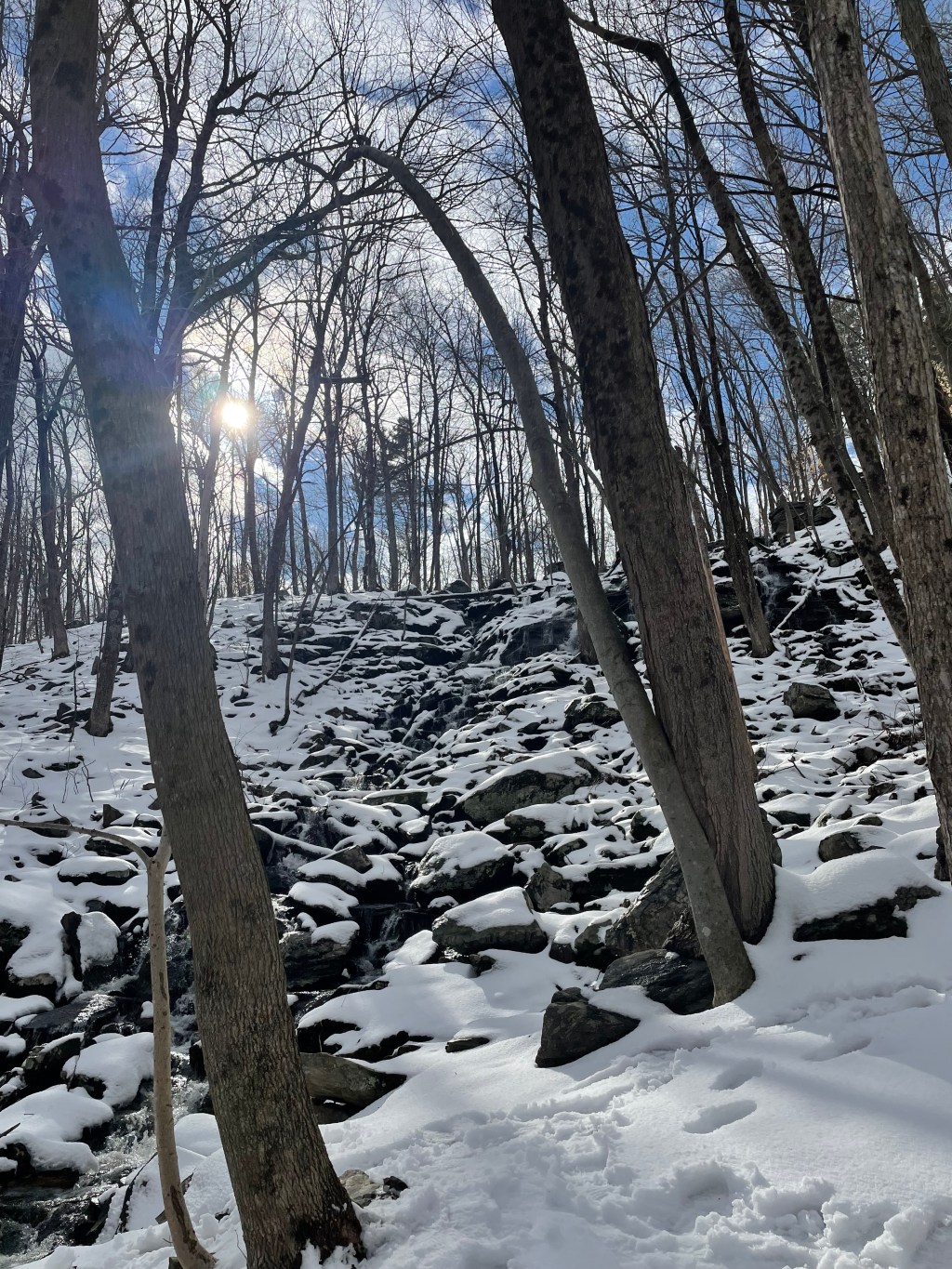 Late stage capitalism in the bleak&nbsp;midwinter