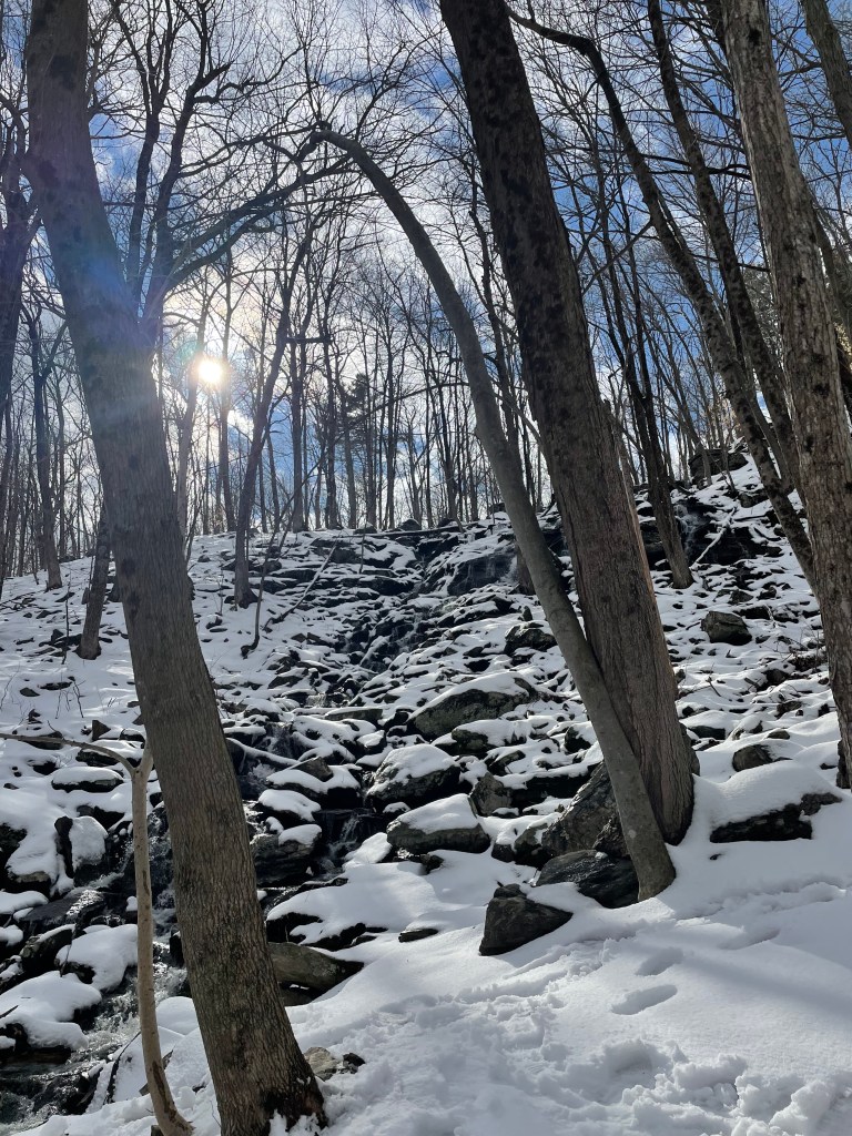 Late stage capitalism in the bleak&nbsp;midwinter