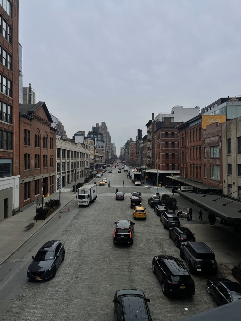 I’d Walk Along Pavement Streets Just to Climb a City’s Only&nbsp;Tree